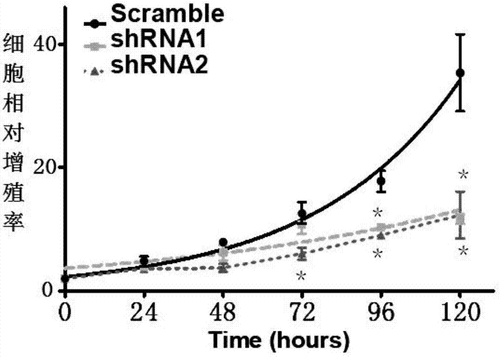 Long-chain non-coding RNA sequence for early diagnosis of human lung adenocarcinoma, preparation and application