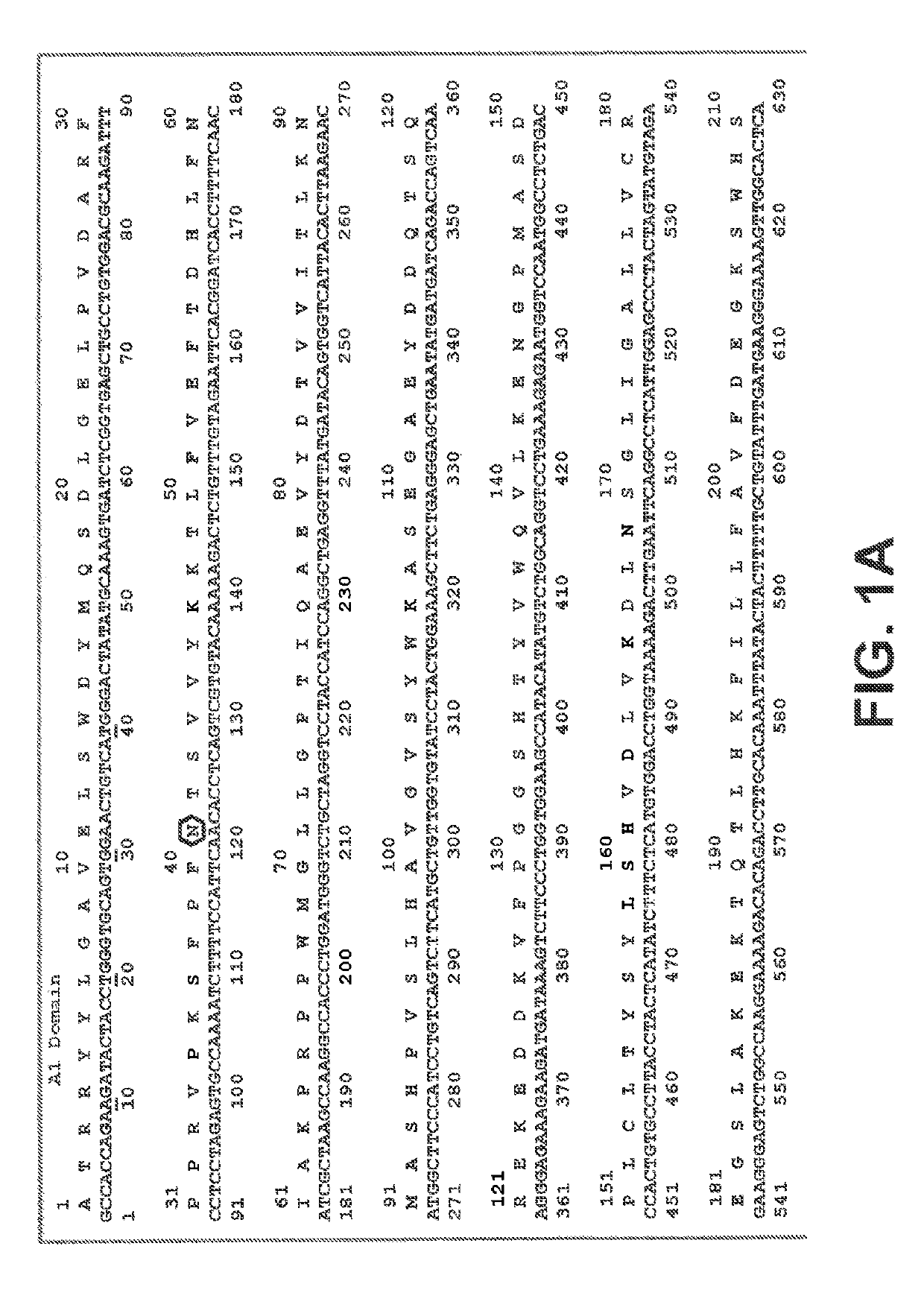 Recombinant factor VIII proteins