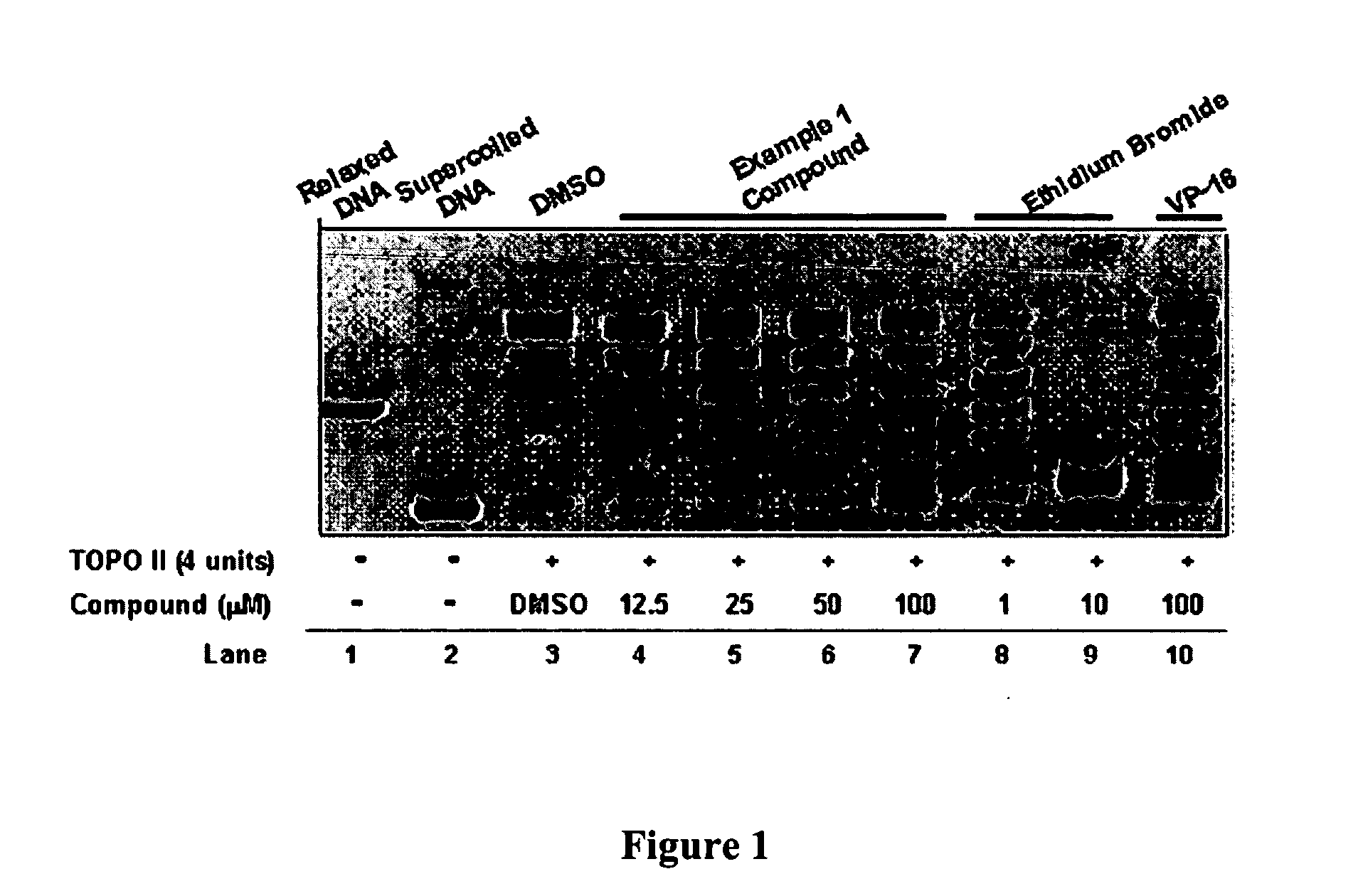 Compounds and therapeutical use thereof