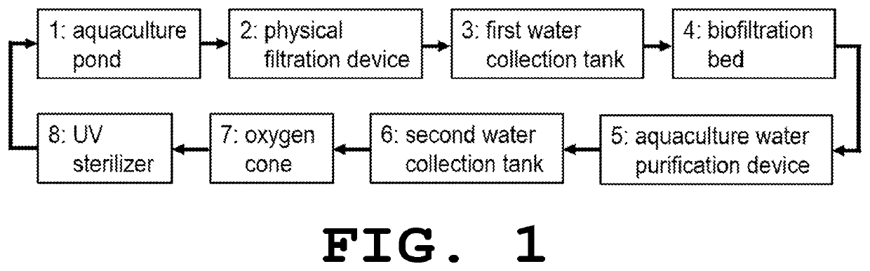 Water purification device, aquaculture water purification system, water purification method, and production method for aquatic organism