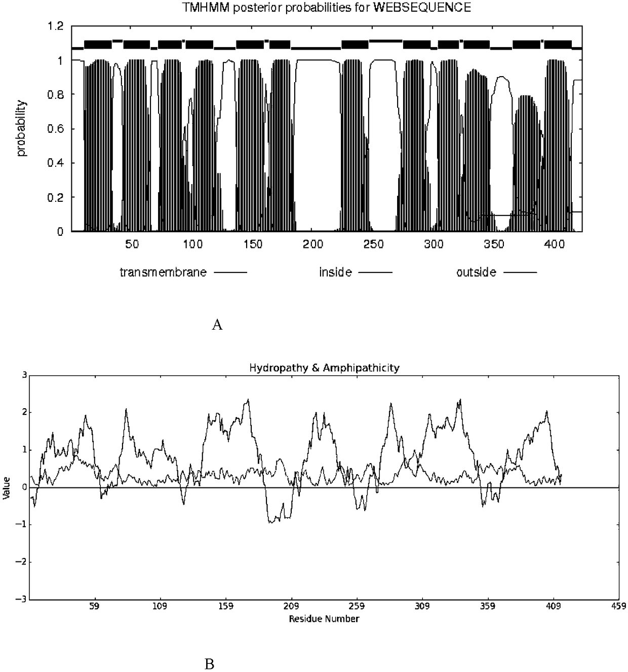 Identification method and application of coding protein Pm_MF