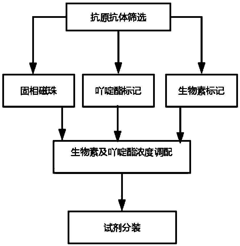 SCC (squamous-cell carcinoma) antigen chemiluminescence immunoassay kit and preparation method thereof