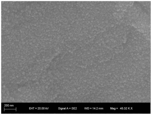 Preparation method of titanium alloy material with good biocompatibility and antibacterial function coating