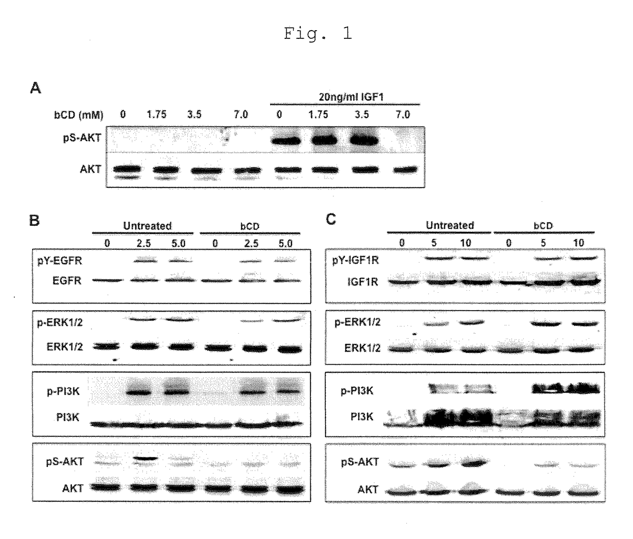 Antitumor drug comprising beta-cyclodextrin