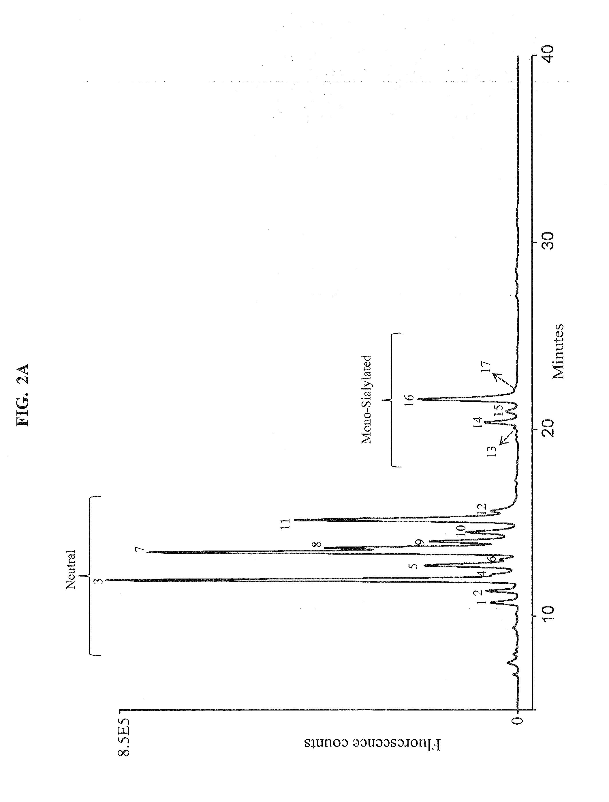 Separation of glycans by mixed-mode liquid chromatography