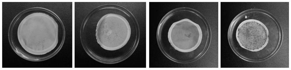 Oiled paper insulation aging diagnosis method based on fluorescence color