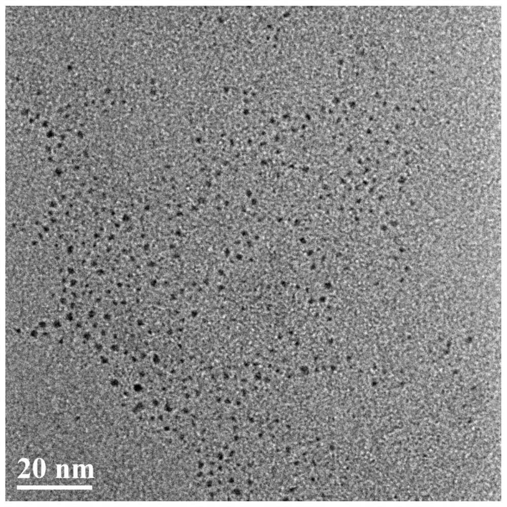 Hierarchical structure hybrid loaded atomic precision gold nanocluster catalyst and preparation method thereof