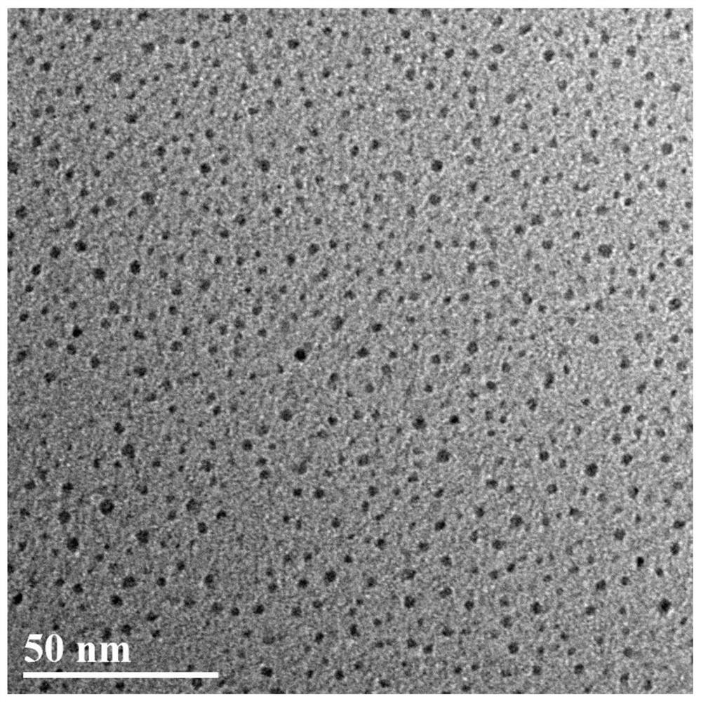 Hierarchical structure hybrid loaded atomic precision gold nanocluster catalyst and preparation method thereof