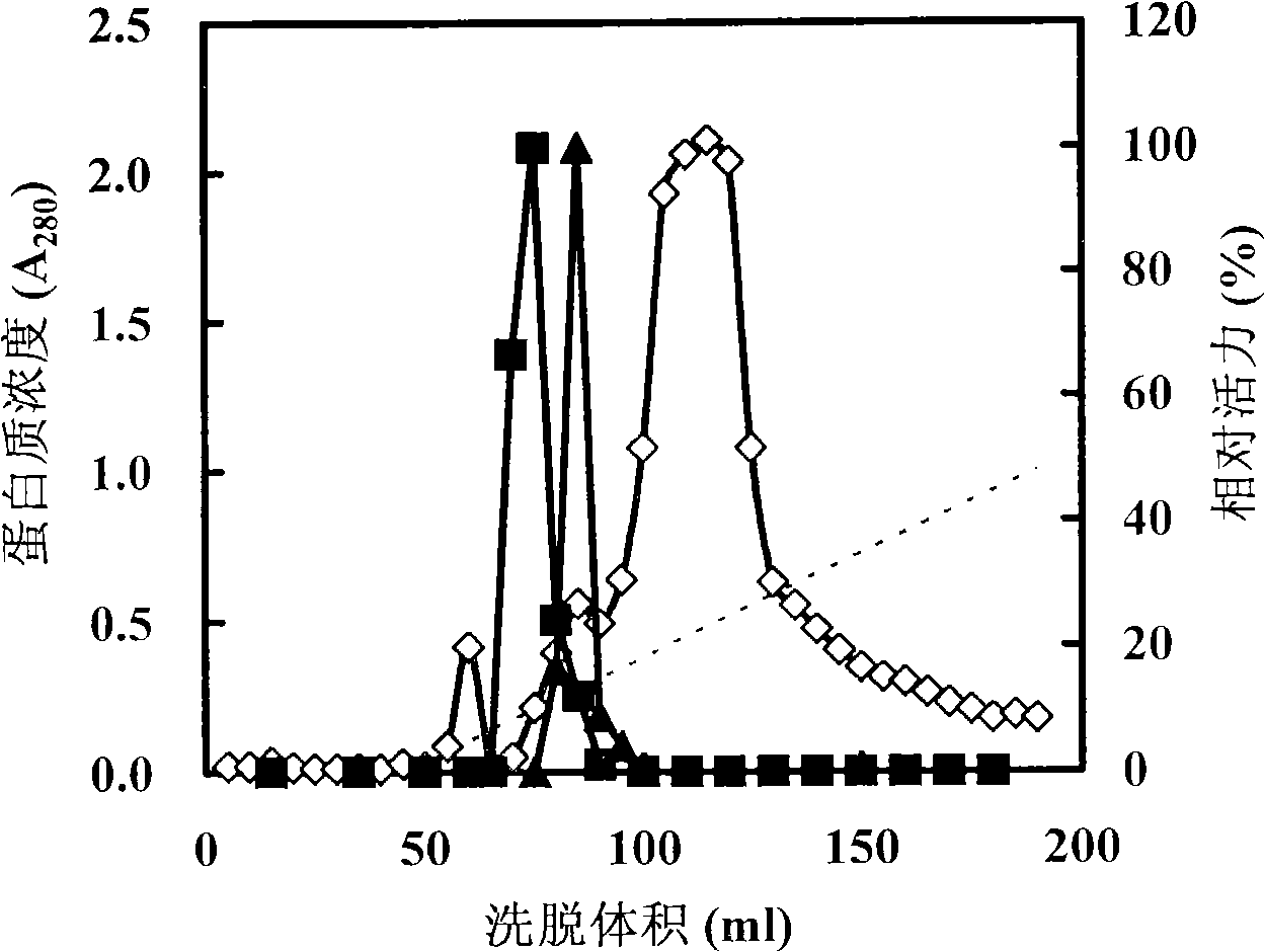 Rhodotorula reductase formulation, preparation and method for preparing optical activity chirality secondary alcohol with the same