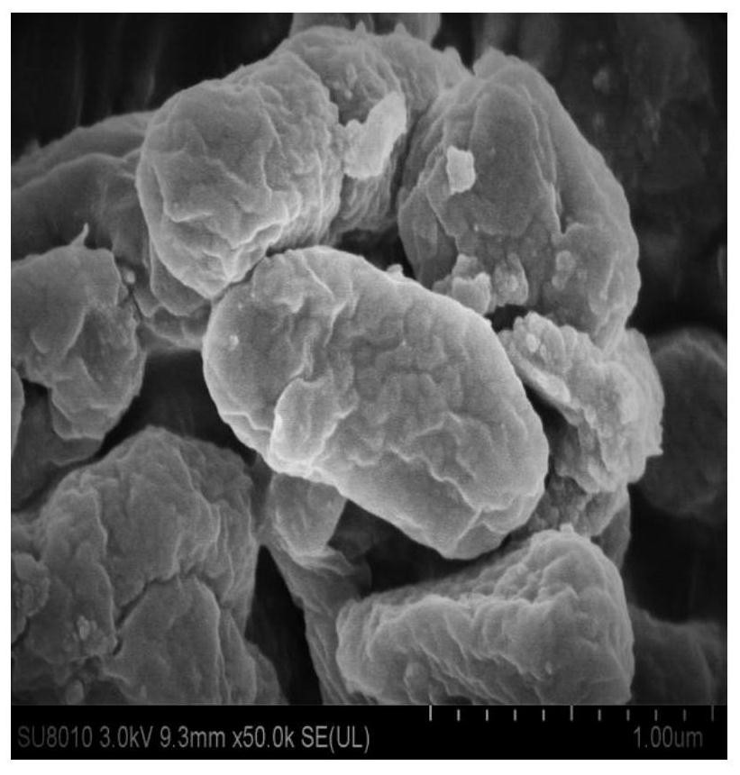Boron-resistant lysine bacillus zjb-17007 and its application