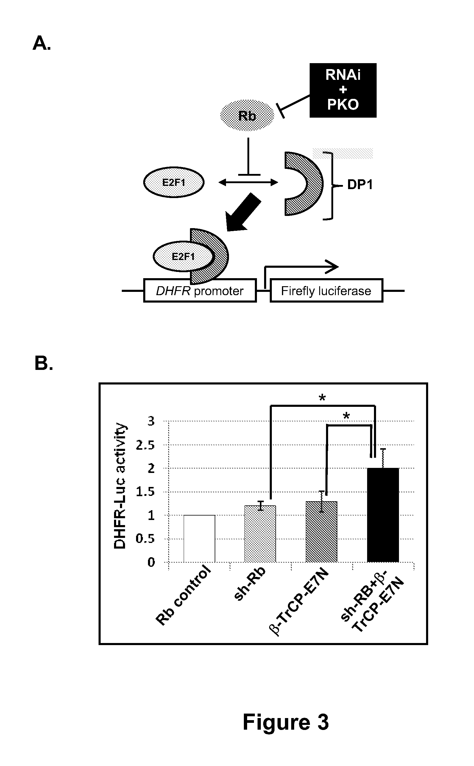 Methods for Reducing Protein Levels in a Cell
