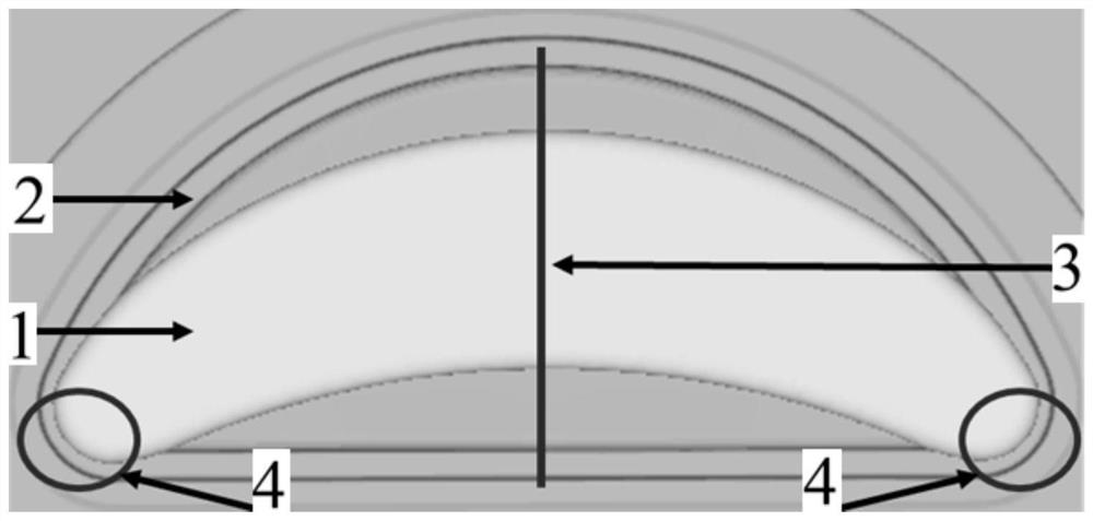 Precise hot forming method for metal forgings with nearly semi-elliptical thin web and large rib spacing