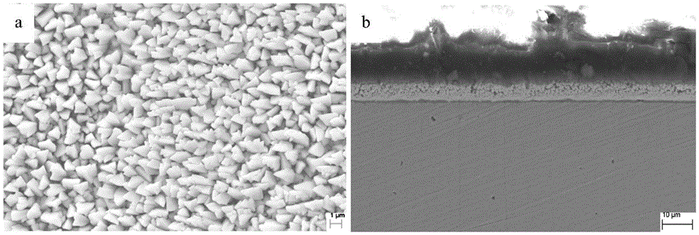 A kind of surface treatment copper foil and preparation method thereof