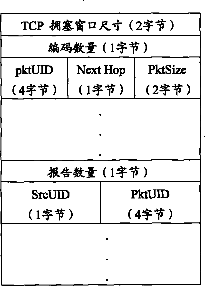 Method for realizing scheduling control of network encoding perceived by transmission control protocol in wireless network