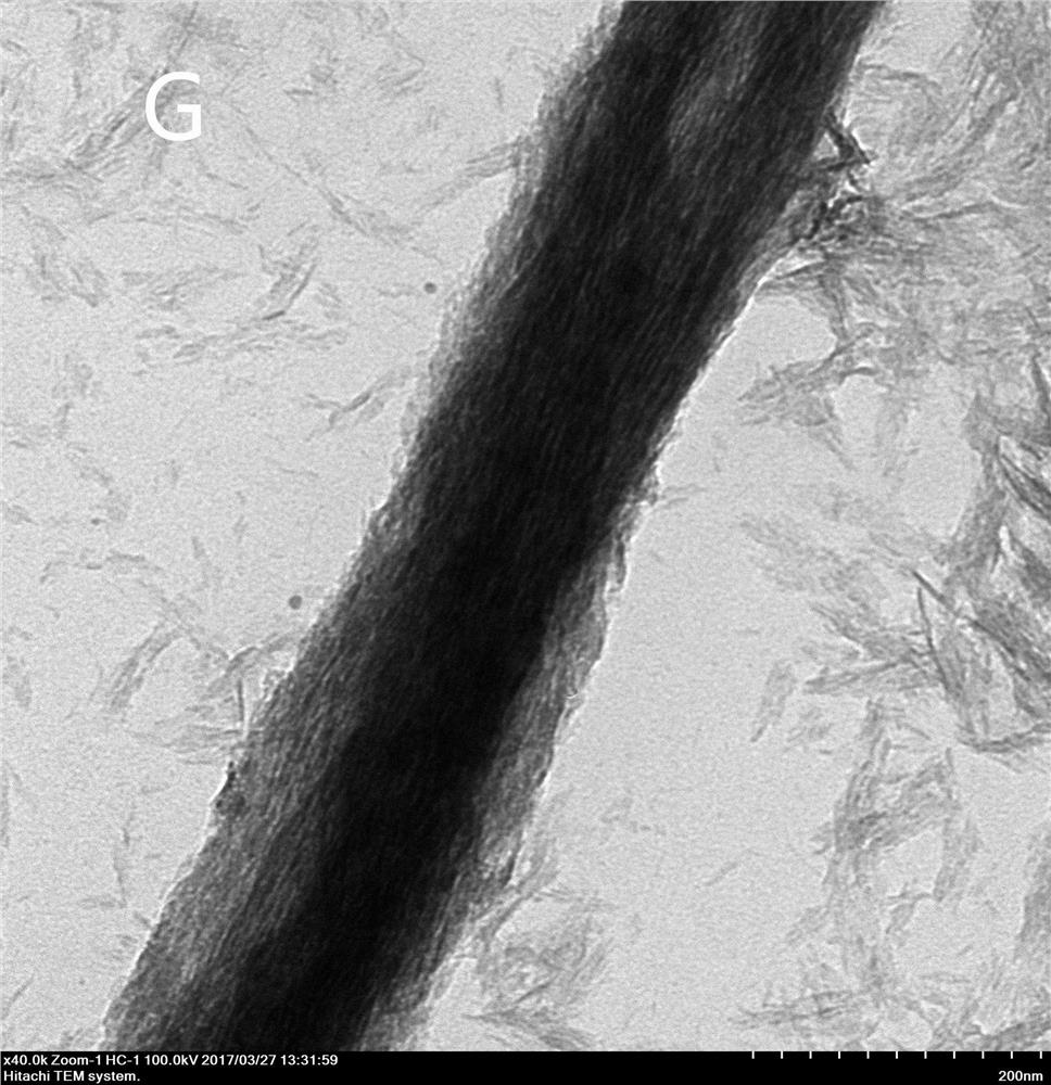 Preparation method of biomimetic mineralized collagen membrane in fibers that can promote osteogenic differentiation of cells