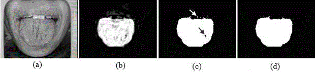Tongue image segmentation method based on sparse representation
