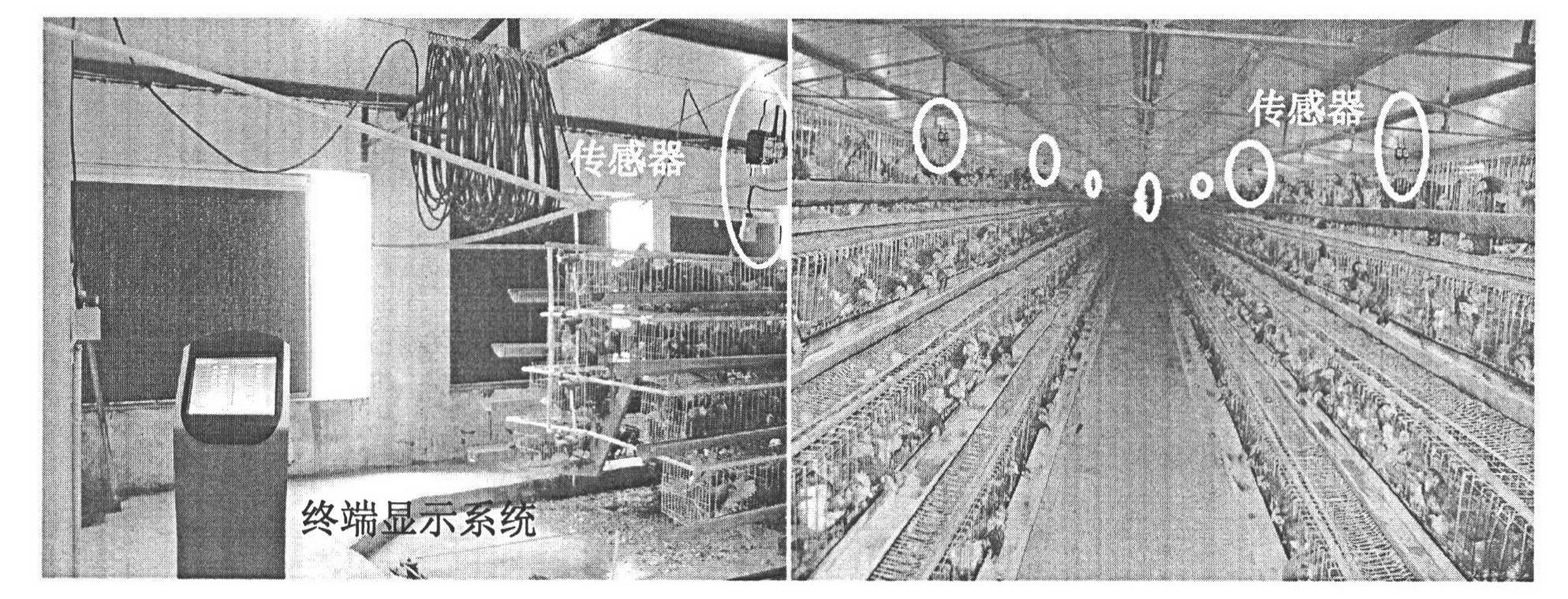 Hen house environment monitoring decision system and application thereof