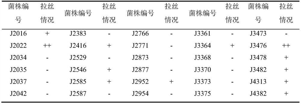 Lactobacillus plantarum strain Y388 and application thereof