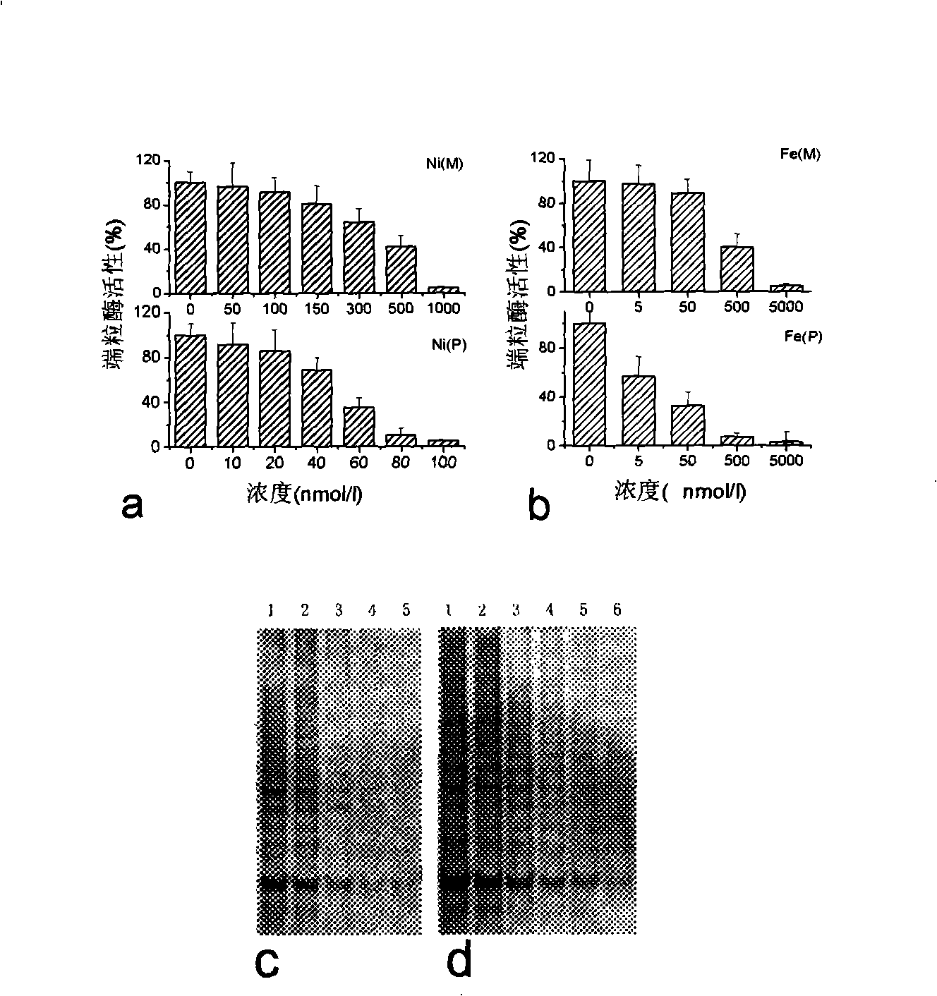 Metallic supermolecule compound for inhibiting telomere enzymatic activity, using method and uses thereof