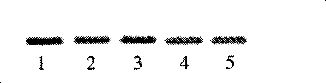 Metallic supermolecule compound for inhibiting telomere enzymatic activity, using method and uses thereof