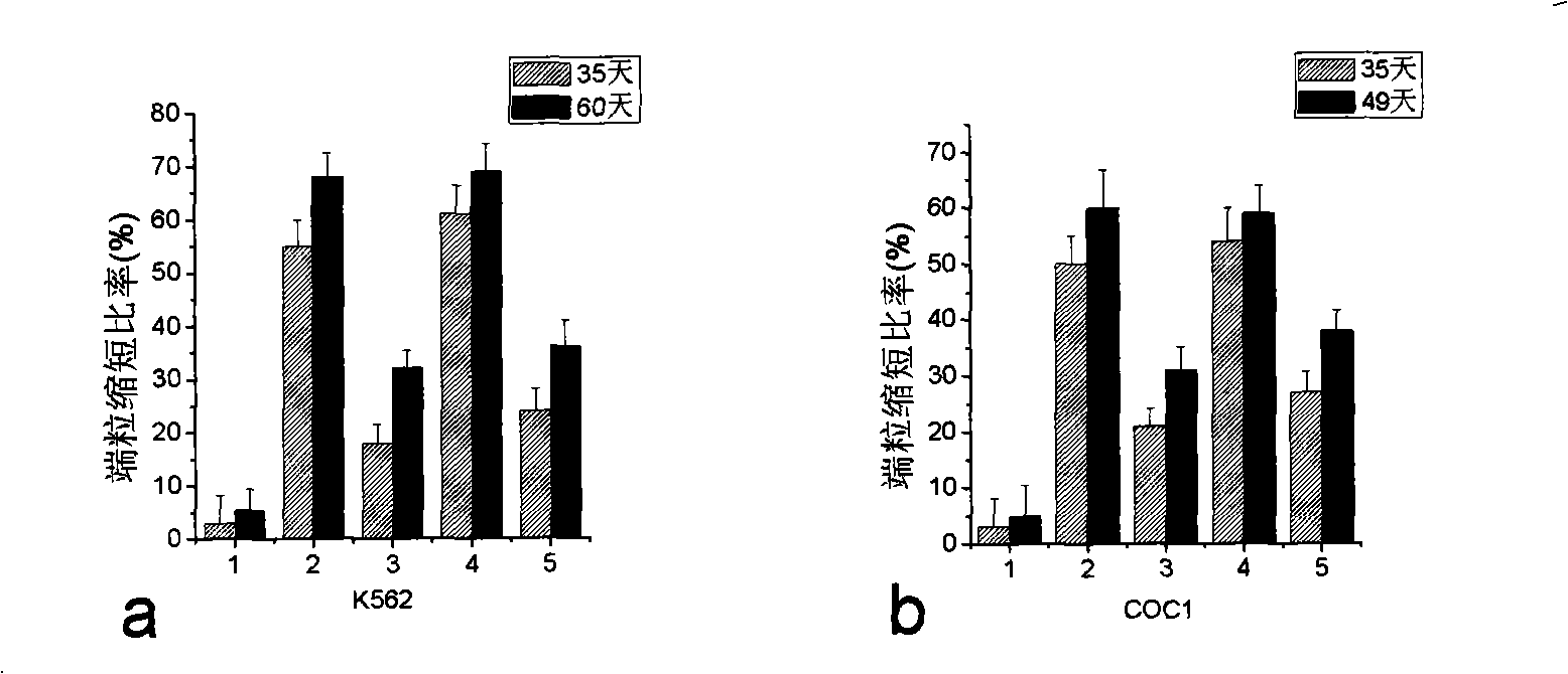 Metallic supermolecule compound for inhibiting telomere enzymatic activity, using method and uses thereof