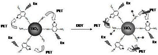 Preparation method for titanium dioxide nano particle fluorescence probe for detection DDT