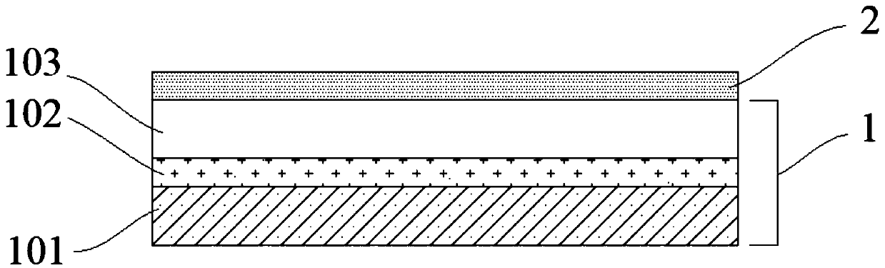 Defective-glue-prevention silica gel protection membrane for processing