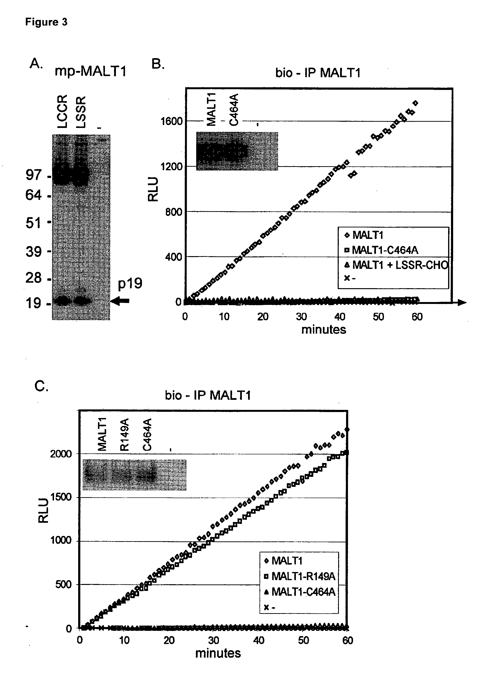 Inhibitors of malt1 proteolytic activity and uses thereof
