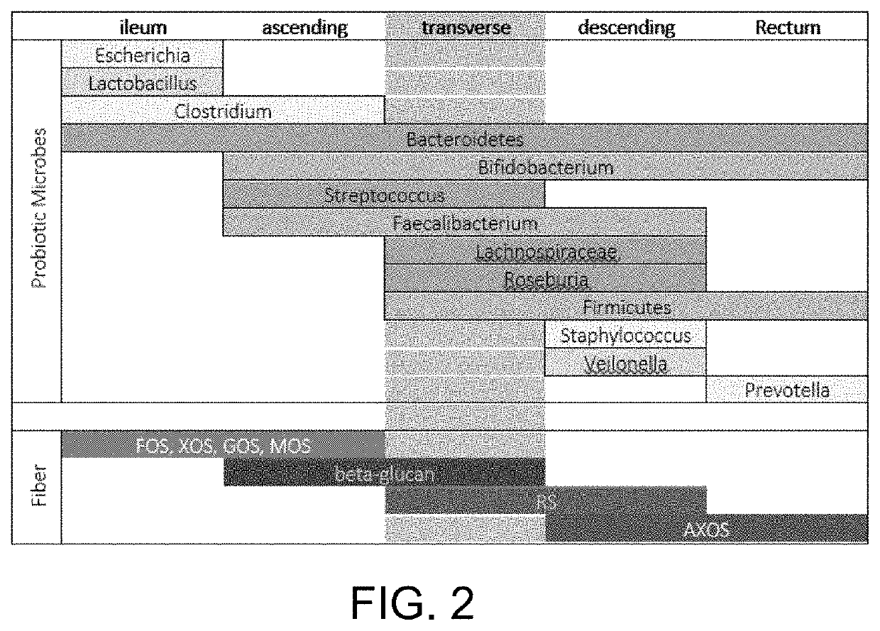 Human dietary supplement and method for treating digestive system and immune-related disorders