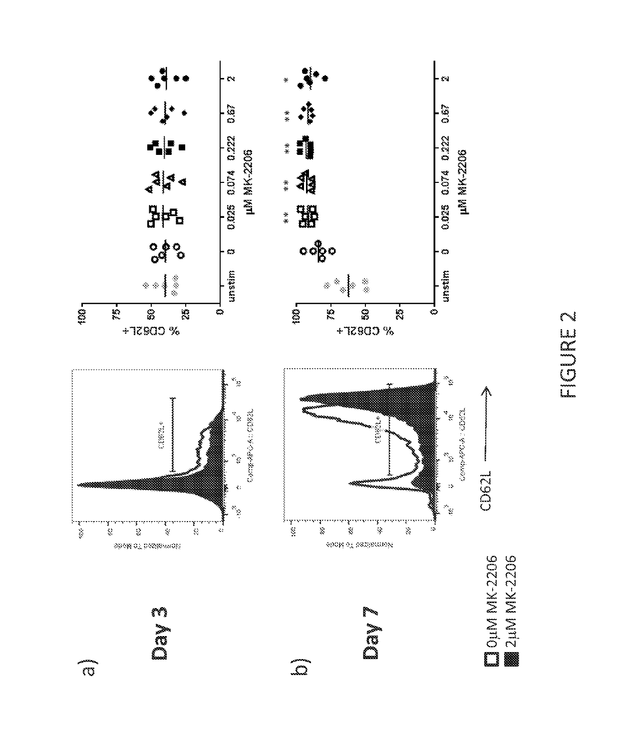 T cell compositions