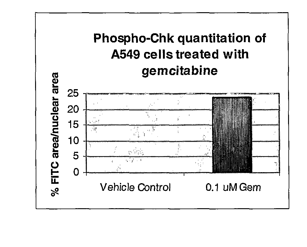 Method for Determining Responsiveness to Chk1 Inhibitors