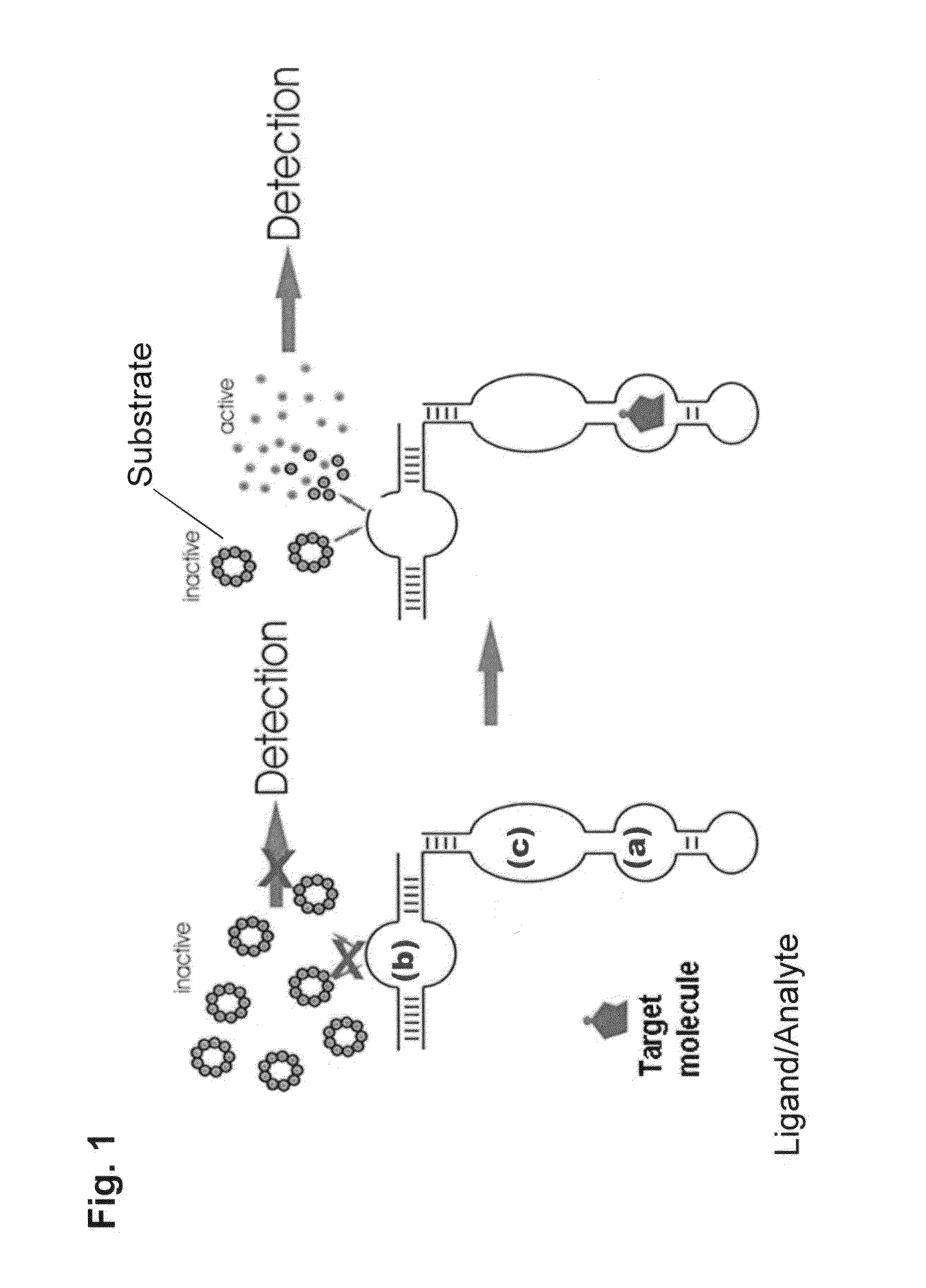 Aptamer sensor device