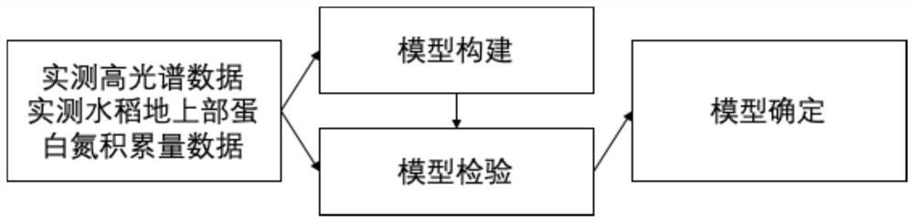 Remote sensing inversion model and method for starch content of overground part of rice based on cross validation Lars regression algorithm