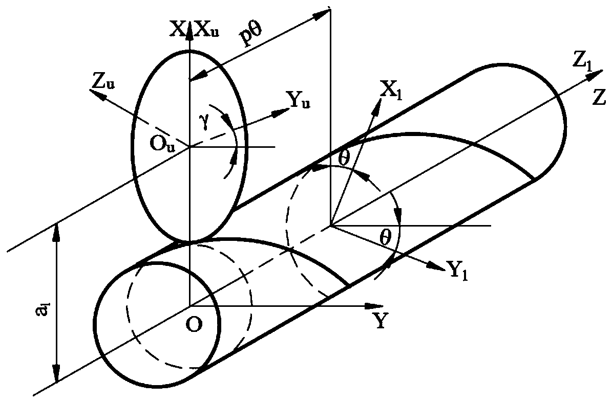 An Accurate Modeling Method for Neiman Worm Gears