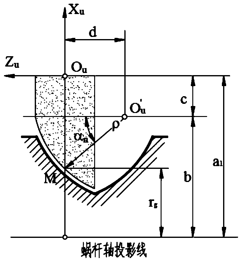 An Accurate Modeling Method for Neiman Worm Gears