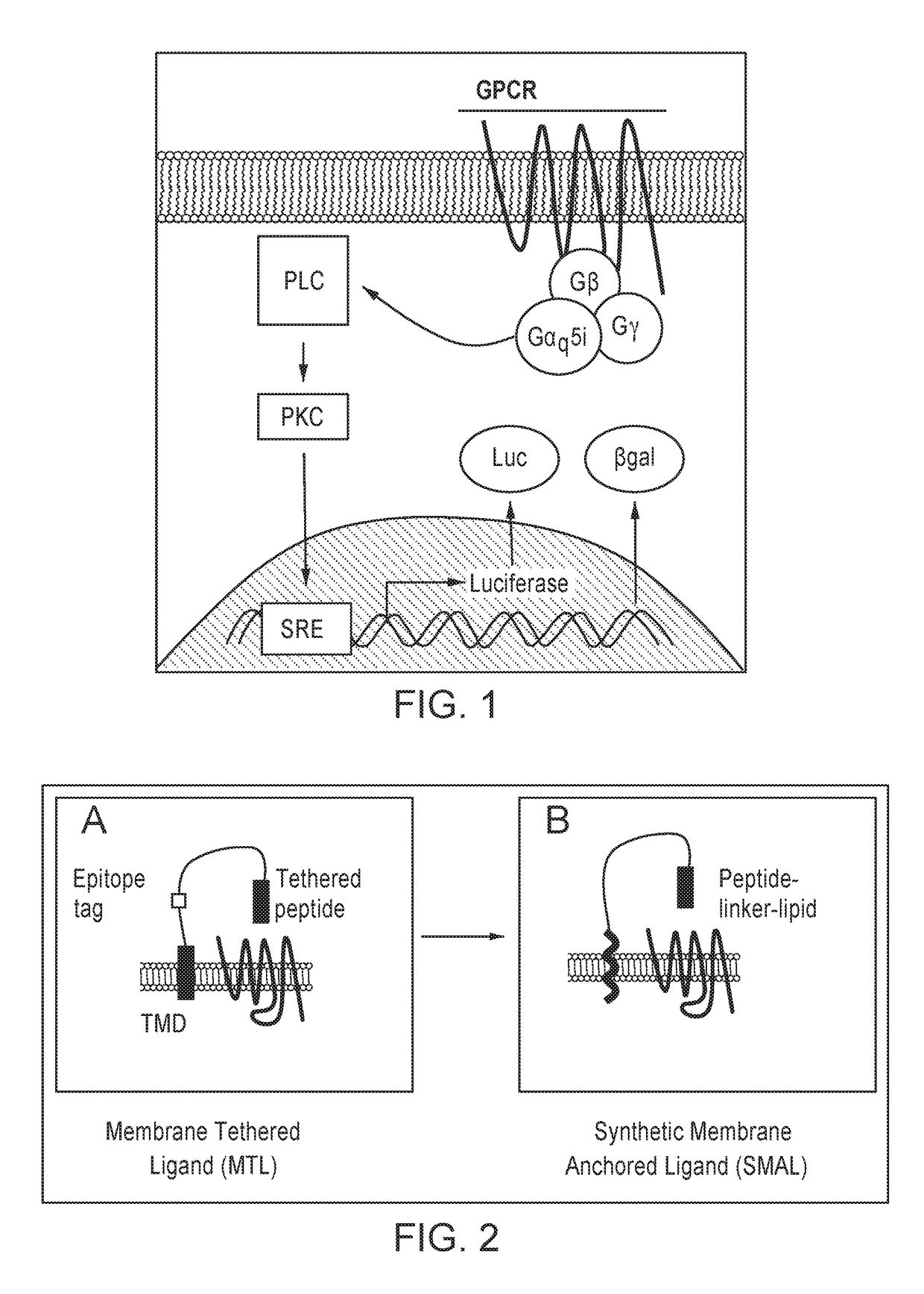 Compounds and methods for treating inflammation