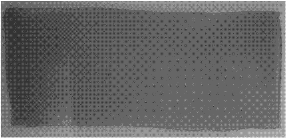Totally biodegradable short fibre enhanced medical hydrogel body dressing and preparation method thereof