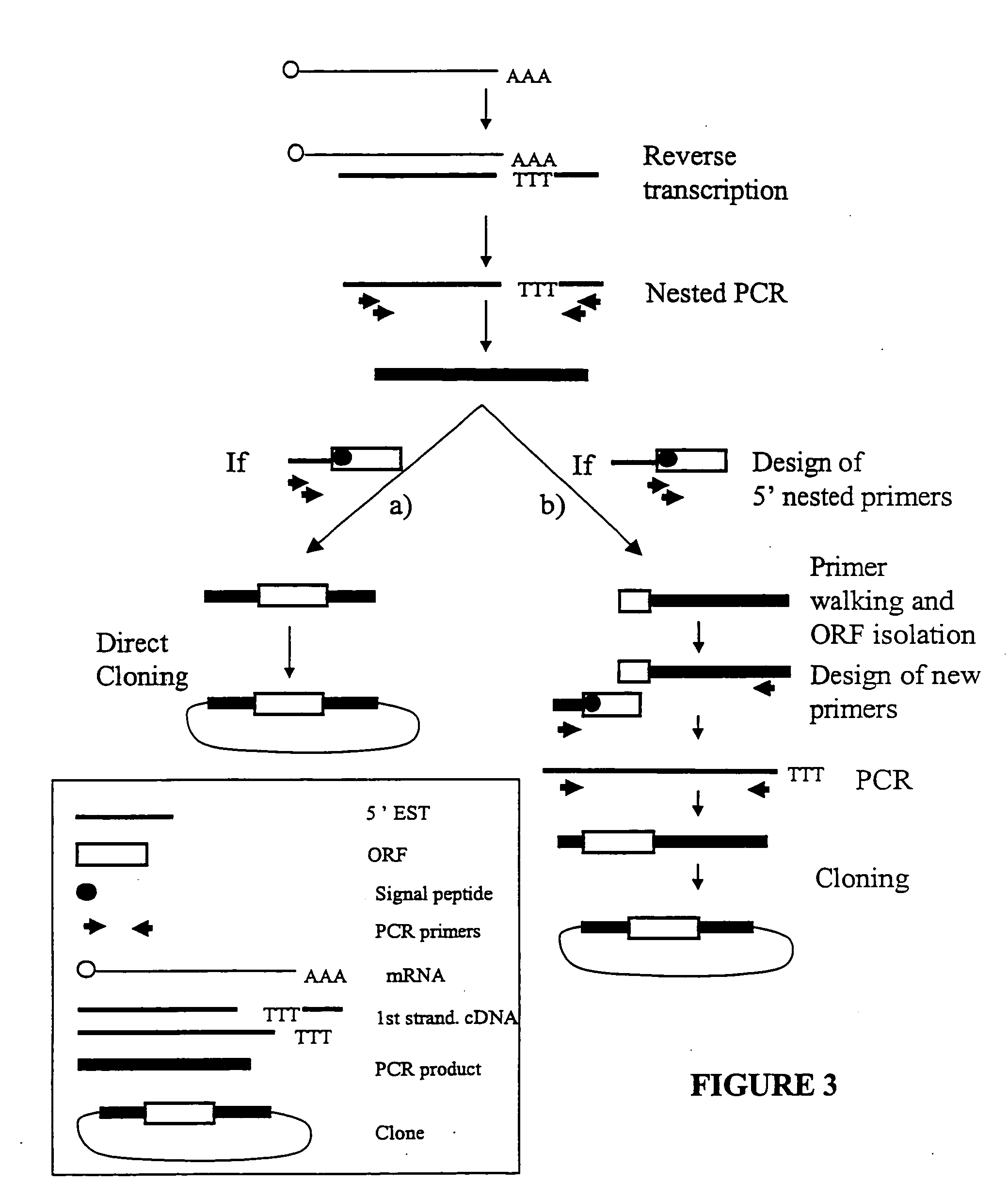 Expressed sequence tags and encoded human proteins