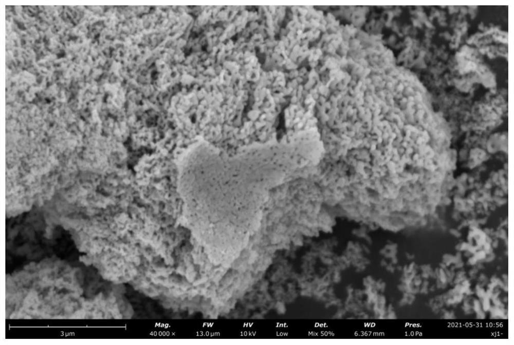 Application and preparation method of a perovskite catalyst in catalytic carbon dioxide hydrogenation formic acid
