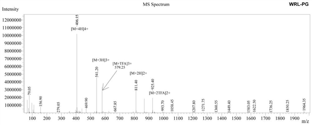 β-hairpin antimicrobial peptide with cross-chain interaction between tryptophan and arginine and preparation method thereof