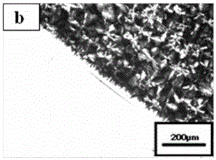 Full-biodegrade composite material taking oriented poly butylene succinate as nucleating agent and preparation method of full-biodegrade composite material