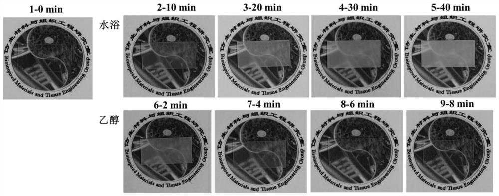 Non-transparent film with controllable and reversible transparency and preparation method thereof