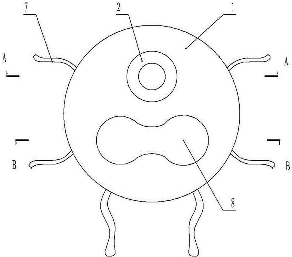 Penis postoperative care device