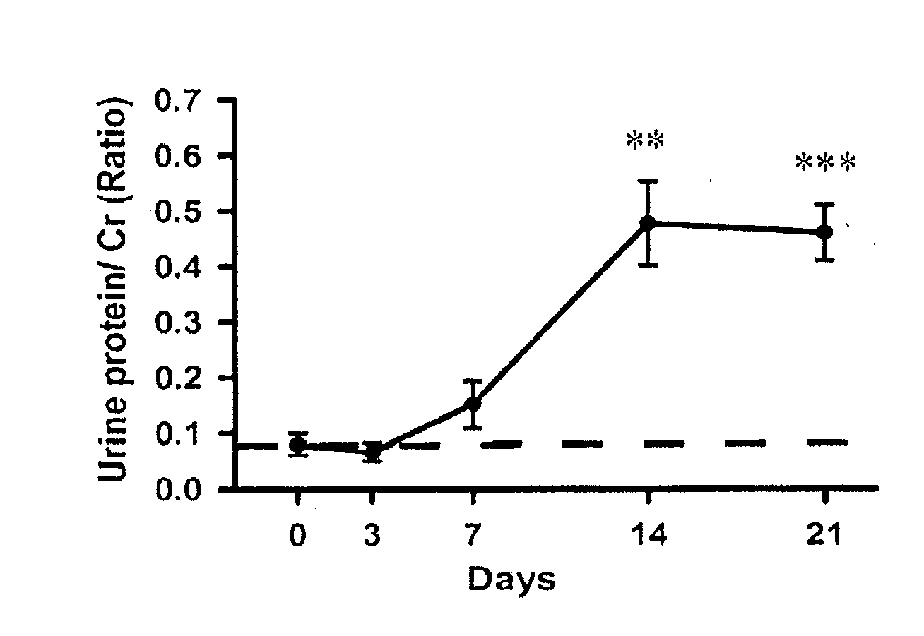 BIOMARKERS FOR IgA NEPHROPATHY AND APPLICATIONS THEREOF