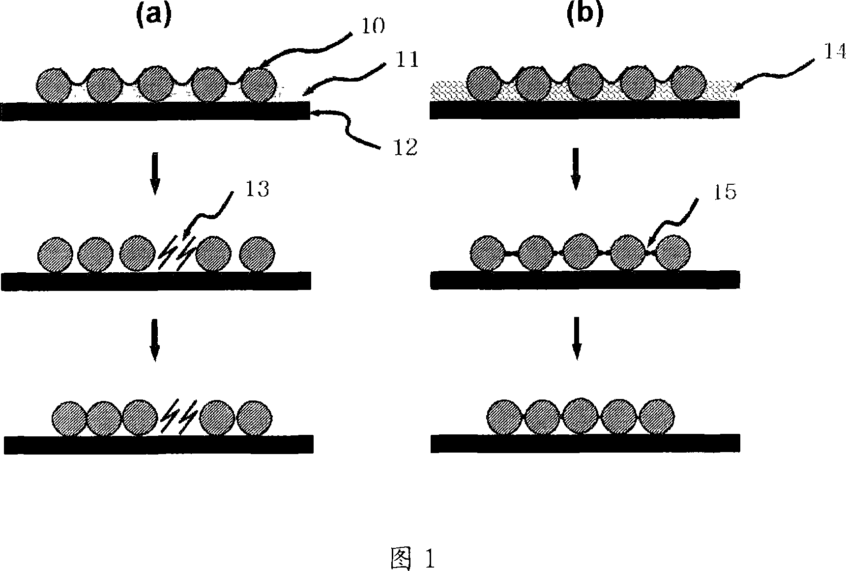 Colloidal photonic crystals using colloidal nanoparticles and method for preparation thereof
