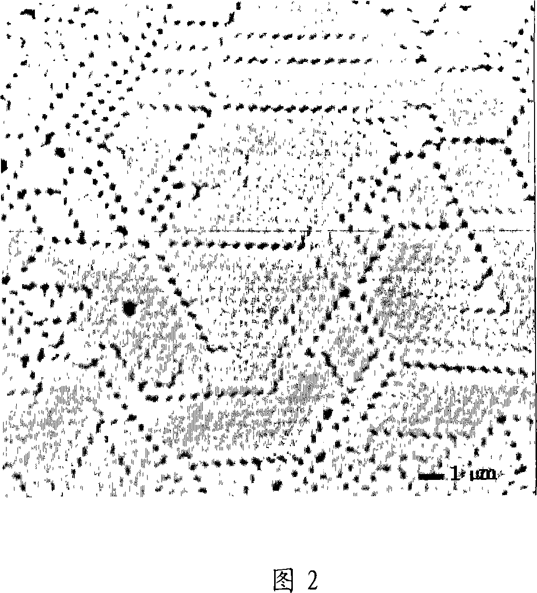 Colloidal photonic crystals using colloidal nanoparticles and method for preparation thereof