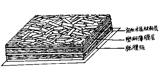 Directional wood-plastic composite plate and manufacturing method thereof