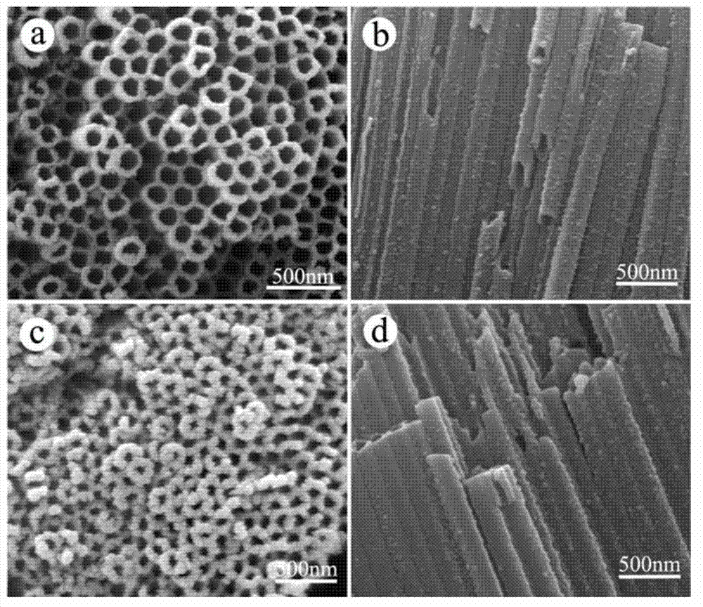 Preparation of silver/cadmium sulfide-nanoparticle-comodified titanium dioxide nanotube array