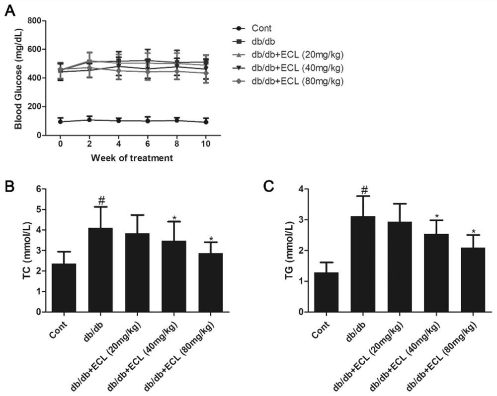 Application of Cyclocarya paliurus extract in preparation of medicine for treating or preventing diabetic cardiomyopathy