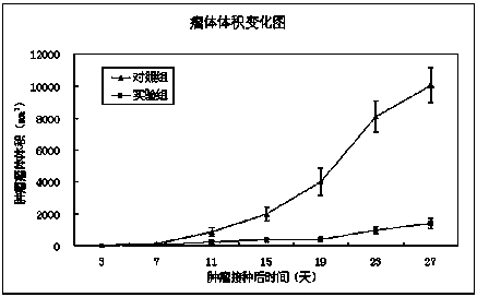 A kind of anti-melanoma stem cell patch and preparation method thereof